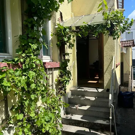 Xxl Mega House 24 7 Check In * Kelkheim