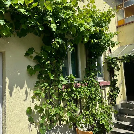Apartamento Xxl Mega House 24 7 Check In Kelkheim