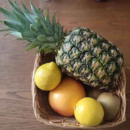 Xxl Mega House 24 7 Check In