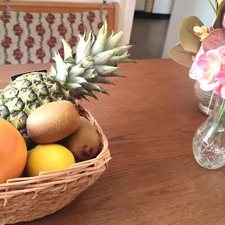 Xxl Mega House 24 7 Check In Apartment Kelkheim