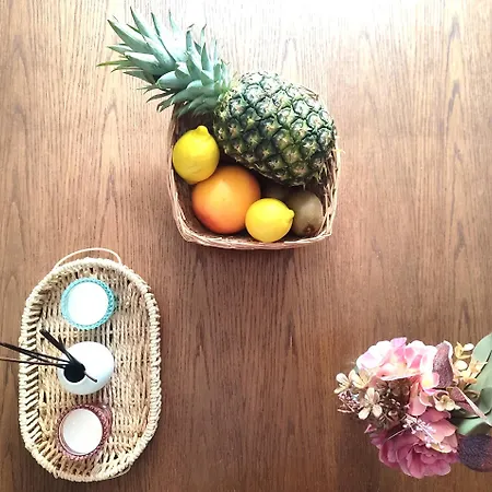 Xxl Mega House 24 7 Check In *