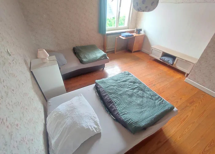 Apartment Xxl Mega House 24 7 Check In *