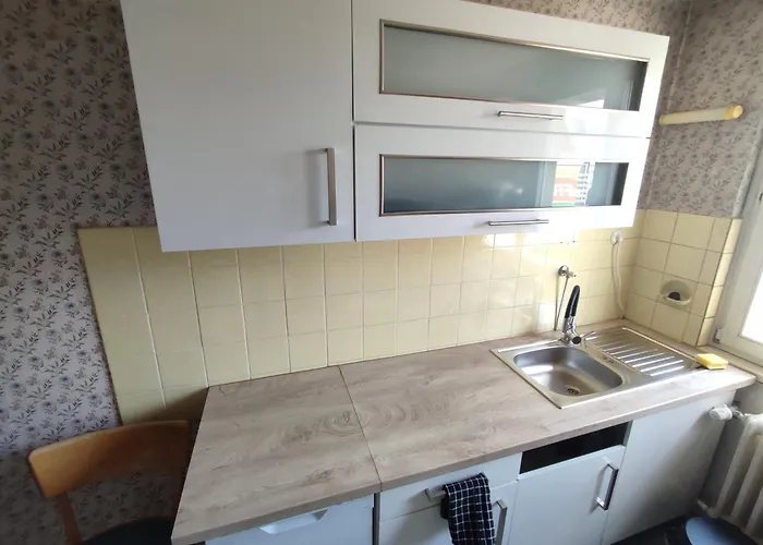 Xxl Mega House 24 7 Check In Apartment